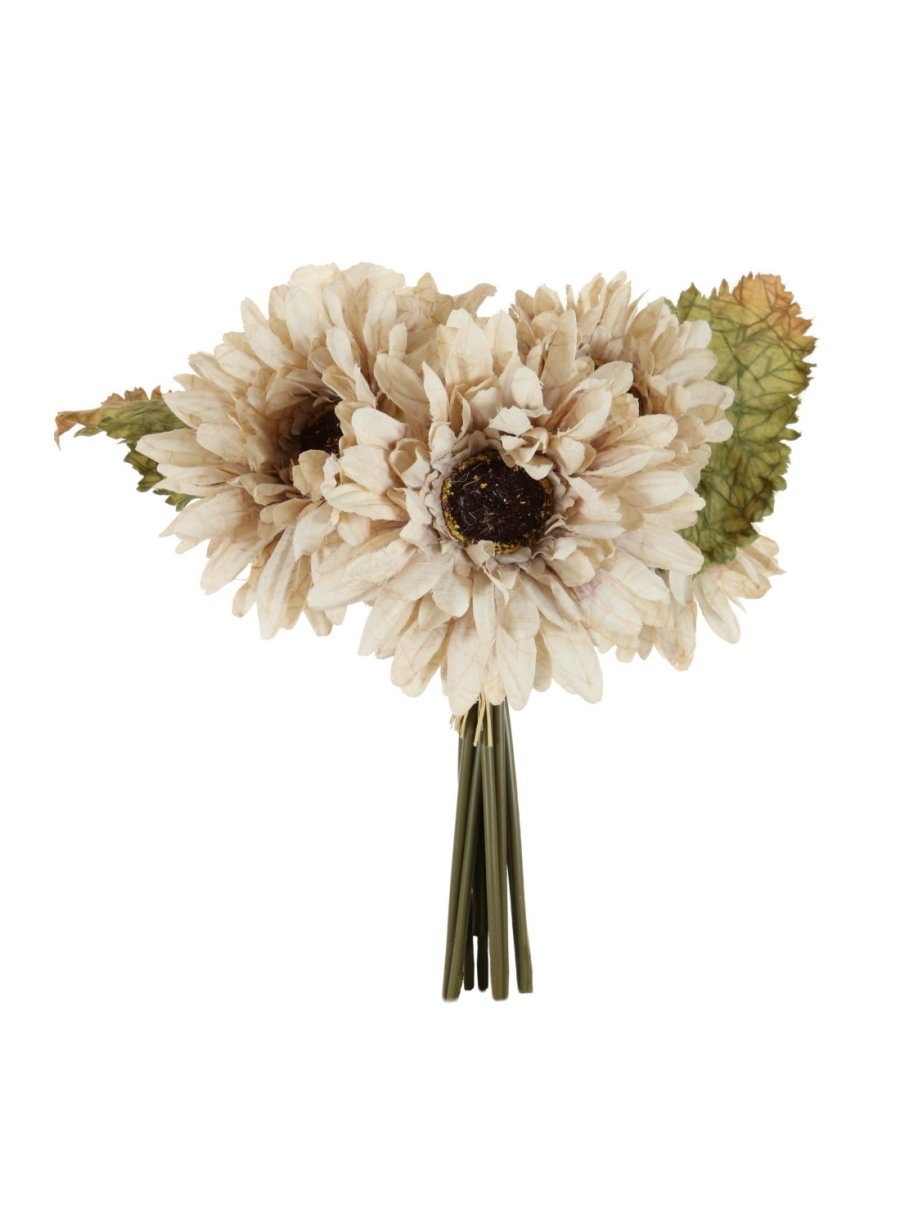 Dried Touch Gerbera Handtie (9x per Bunch)