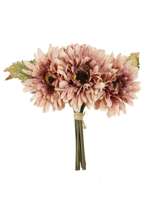 Dried Touch Gerbera Handtie (9x per Bunch)