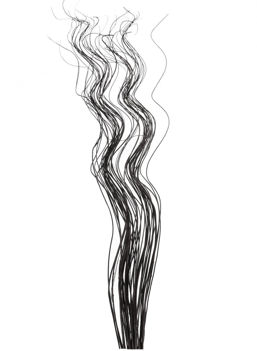 Tall Spiral Willow