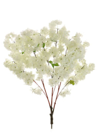 Cherry Blossom Branch