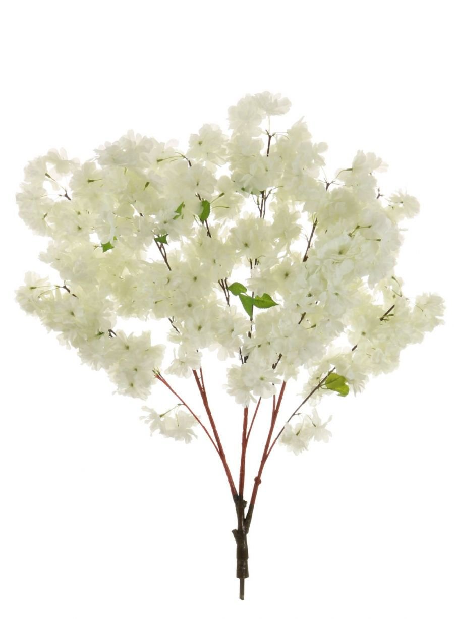 Cherry Blossom Branch