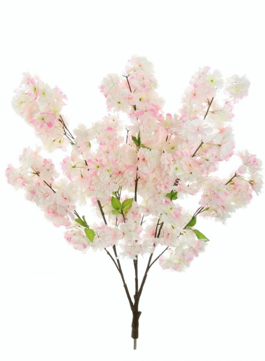 Cherry Blossom Branch