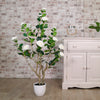 Camellia Tree 110cm