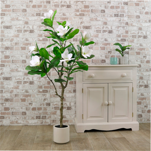 Magnolia Tree 125cm