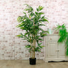 Potted Bamboo 150cm