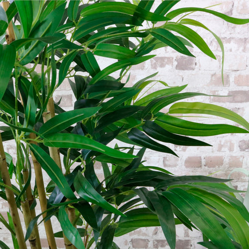 Potted Bamboo 150cm