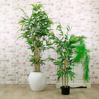 Potted Bamboo 150cm