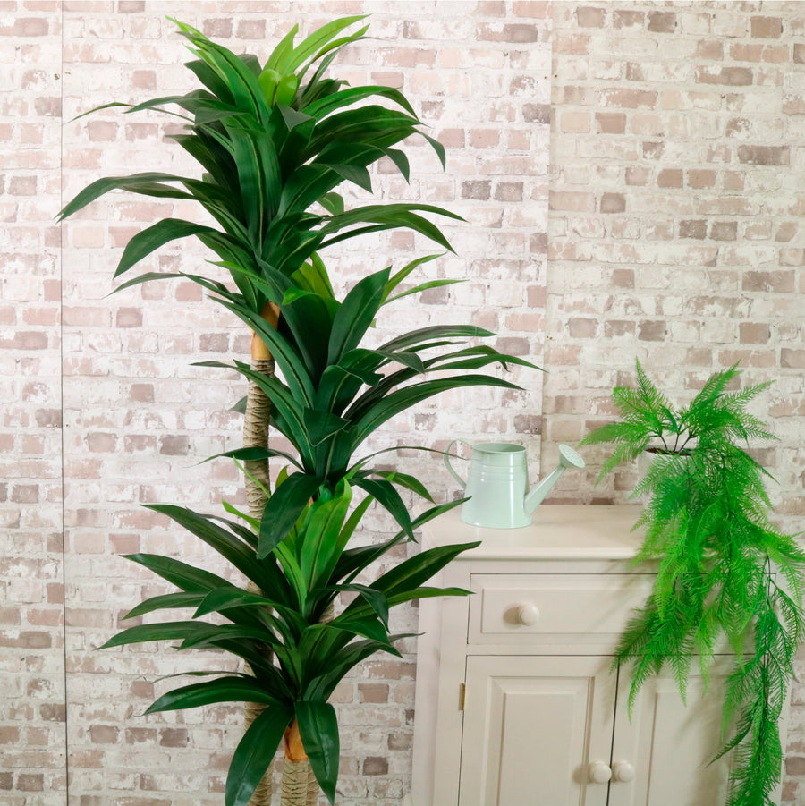 Potted Yucca Tree 160cm