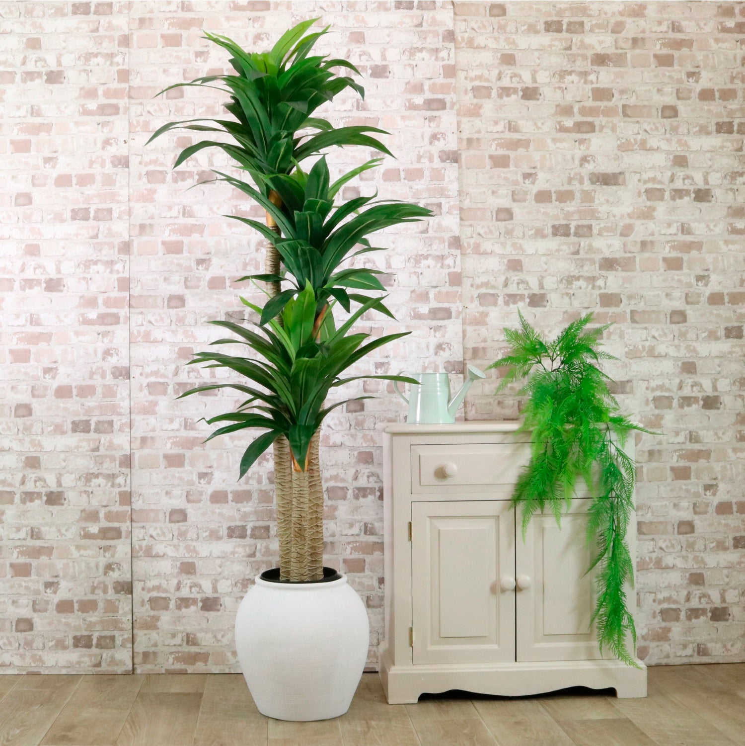 Potted Yucca Tree 160cm – Lotus Imports Ltd