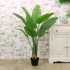 Strelitzia Palm Tree 120cm