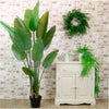 Strelitzia Palm Tree 180cm