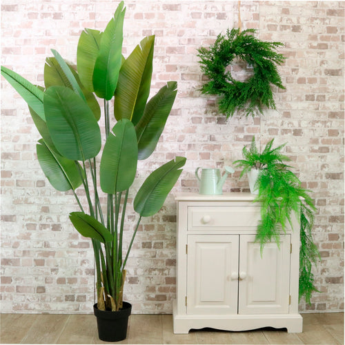 Strelitzia Palm Tree 180cm
