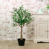 Olive Tree 90cm