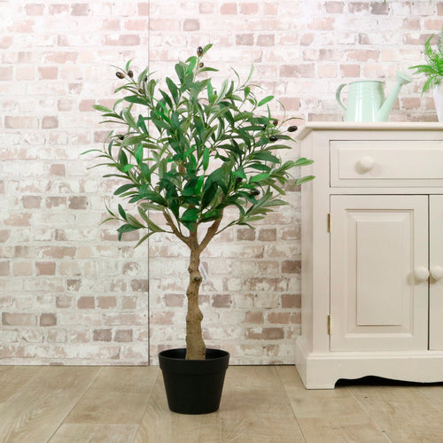 Olive Tree 90cm