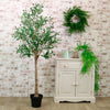 Olive Tree 160cm #No2