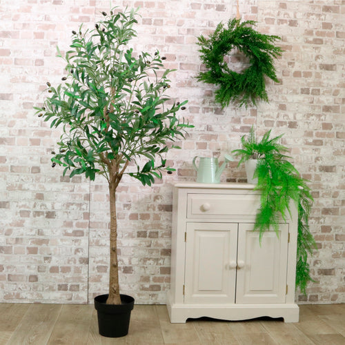 Olive Tree 160cm #No2