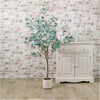 Eucalyptus Tree 130cm