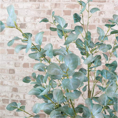 Eucalyptus Tree 130cm