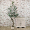 Olive Tree 180cm Style No:2