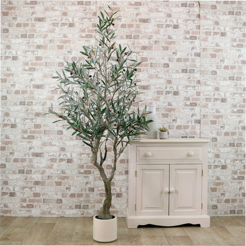 Olive Tree 180cm Style No:2