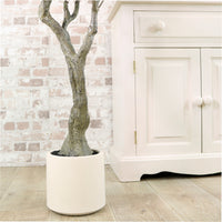 Olive Tree 180cm Style No:2
