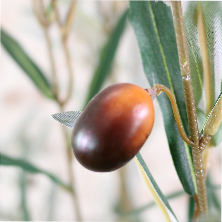 Olive Tree 180cm Style No:2