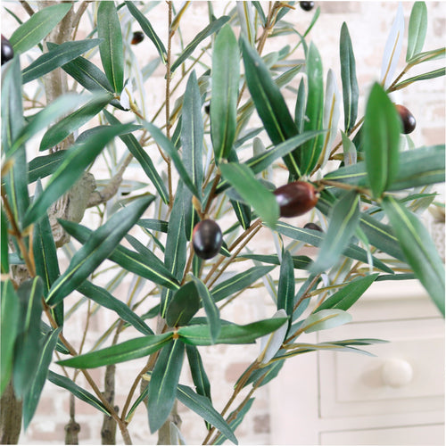Olive Tree 180cm Style No:2