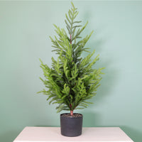 Real Touch Norfolk Pine Potted Tree (90cm)