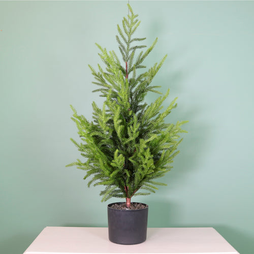 Real Touch Norfolk Pine Potted Tree (90cm)