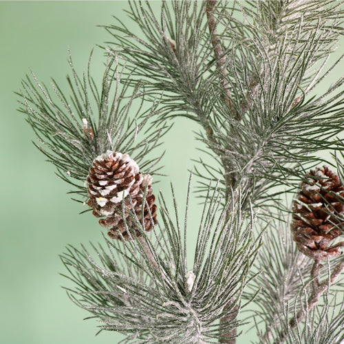Winter Frostwhisper Needle Pine Tree (95cm)