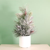 Winter Frostwhisper Needle Pine & Spruce Tree (57cm)