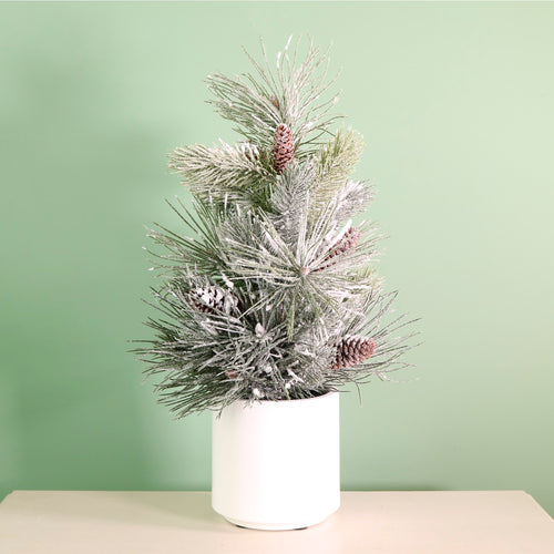 Winter Frostwhisper Needle Pine & Spruce Tree (57cm)