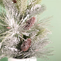 Winter Frostwhisper Needle Pine & Spruce Tree (57cm)