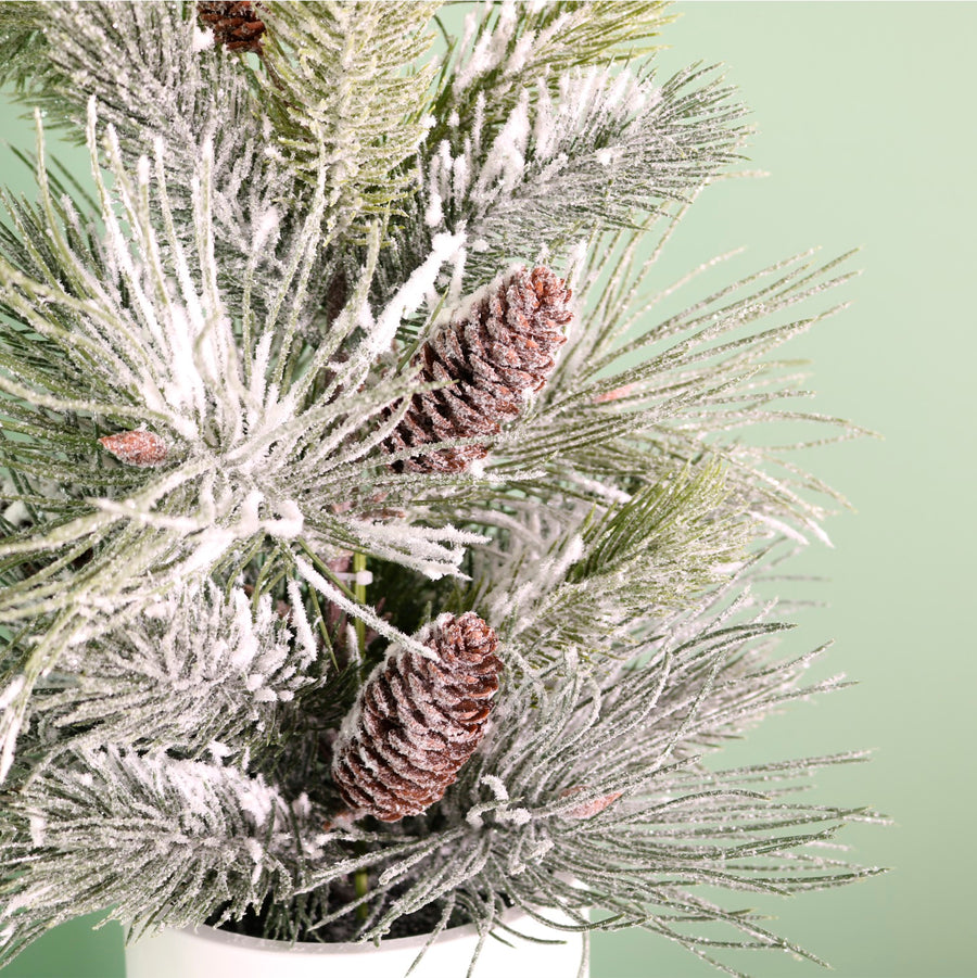 Winter Frostwhisper Needle Pine & Spruce Tree (57cm)