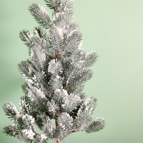 Winter Snowflint Spruce Tree (62cm)