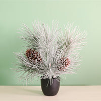 Winter Frostwhisper Mini Needle Pine Tree (36cm)