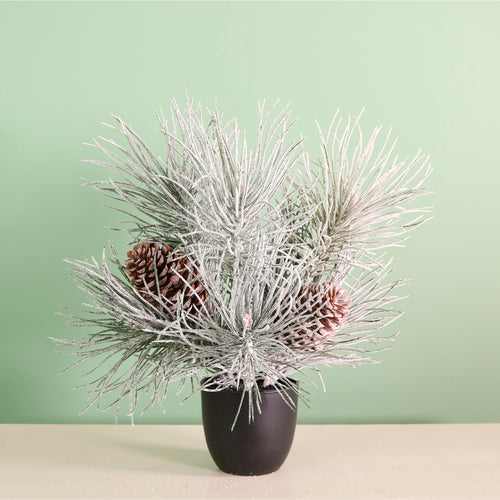 Winter Frostwhisper Mini Needle Pine Tree (36cm)