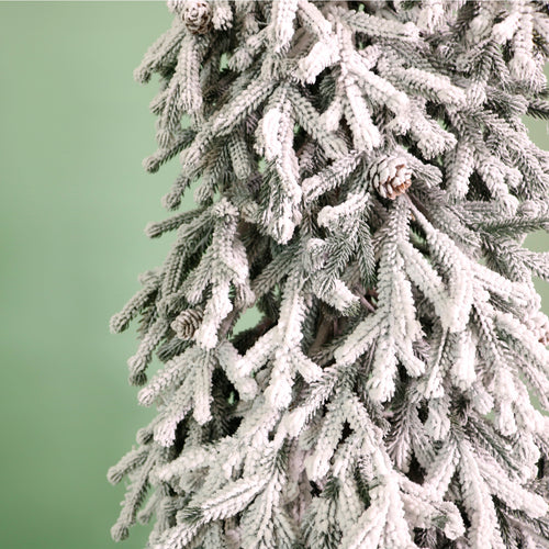 Winter Snowveil Pine Tree (184cm)