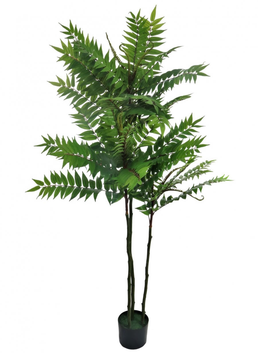 Fern Tree 170cm