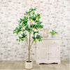 Lemon Tree 160cm