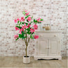 Bauhinia Tree 120cm