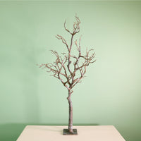 Manzanita Tree (80cm)