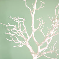 Manzanita Tree (80cm)