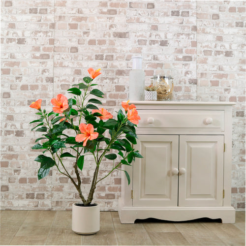 Hibiscus Tree 90cm
