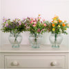 Zoie Arrangements. Mixed Box 3 colours (Qty 6)