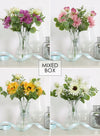 Jazlyn Arrangement Mixed Box (qty 12)