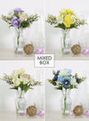 Nova Arrangements (Mixed Box qty 12)