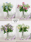 Kelsey Arrangement Mixed Box (qty 9)