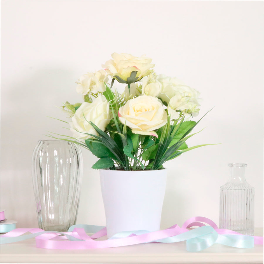 Lara Potted Arrangement Mixed Box (qty6)