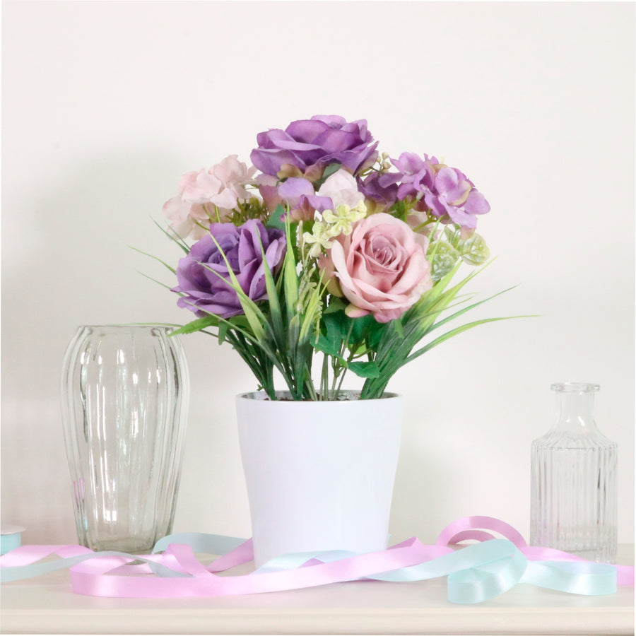 Lara Potted Arrangement Mixed Box (qty6)